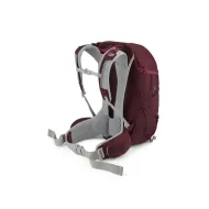 Dámský turistický batoh Lowe Alpine AirZone Trail Duo ND30 Deep heather/raspberry